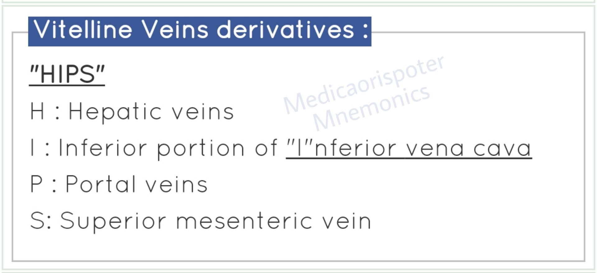 preview of Vitelline Veins Derivatives.jpg